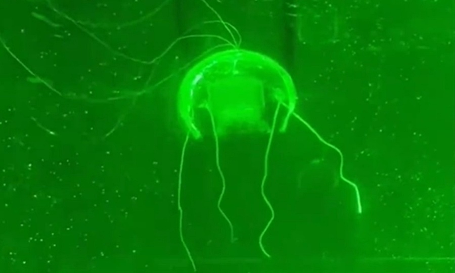 Trung Quốc phát triển robot “Âm hồn dưới nước” để thăm dò biển sâu